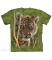 Baby Tiger - Big Cat T Shirt The Mountain