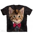 Vampire Kitten - Cat T Shirt The Mountain