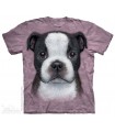 Boston Terrier Puppy - Dog T Shirt The Mountain