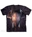 Big Face Asian Elephant - Animal T Shirt The Mountain