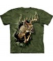 Breakthrough Deer - Zoo Animals T Shirt by the Mountain