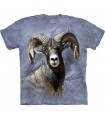 Big Horn Sheep - Animals T Shirt by the Mountain