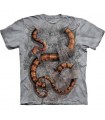 Boa Constrictor - Reptile Shirt Mountain