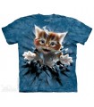 Ginger Kitten Breakthrough - Pet T Shirt The Mountain