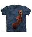 Peace Squirrel - Animal T Shirt The Mountain