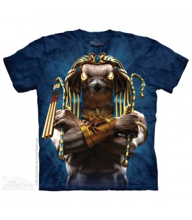 Horus Soldier - Warrior T Shirt The Mountain