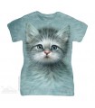 Blue Eyed Kitten Women's T-Shirt The Mountain