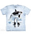 Up and Over Orca T Shirt The Mountain