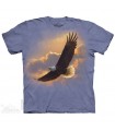 Soaring Spirit Eagle T Shirt The Mountain