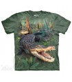 T-shirt Alligator The Mountain