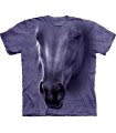 Horse Head - Horse T Shirt by the Mountain
