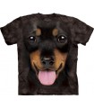 Big Face Dachshund Puppy T Shirt
