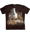 Stampede - Horse Shirt Mountain