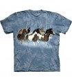 Winter Run - Horses Shirt Mountain