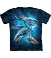 T-Shirt groupe de requins par The Mountain