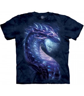 The Mountain Stormborn Dragon Fantasy T Shirt