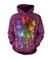 The Mountain Rainbow Butterfly Dreamcatcher Hoodie