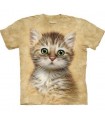 Brown Striped Kitten - Cats T Shirt by the Mountain