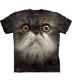 Furry Face - Cats T Shirt from The Mountain