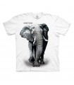 Tee shirt Protection des éléphants