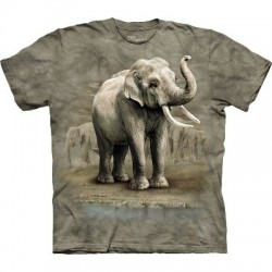 Asian Elephants - Zoo T Shirt by the Mountain