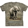 Asian Elephants - Zoo T Shirt by the Mountain