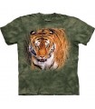 Close Encounter - Tiger T Shirt by the Mountain