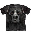 Black Pitbull Head - Dogs T Shirt by the Mountain