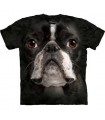 T-Shirt Boston Terrier par The Mountain