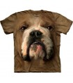 Bulldog Face - Animals T Shirt by the Mountain