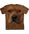 Pitbull Face - Dogs T Shirt by the Mountain
