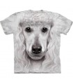 Poodle Face - Dogs T Shirt by the Mountain
