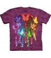 Rainbow Butterfly - Native America T Shirt by the Mountain
